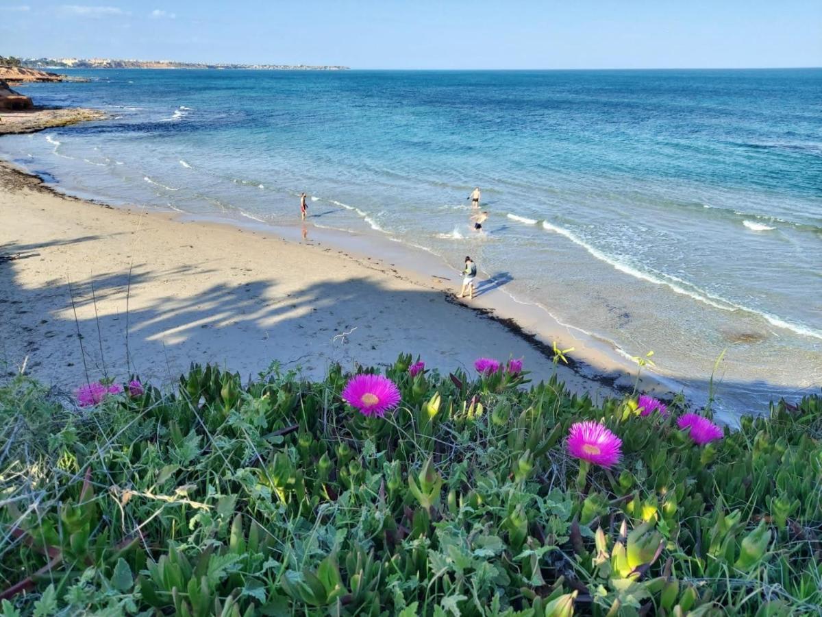 El Apartamento De Papa - Mil Palmeras Dehesa de Campoamor  Екстериор снимка
